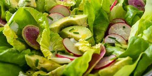 Ensalada de lechuga mantequilla